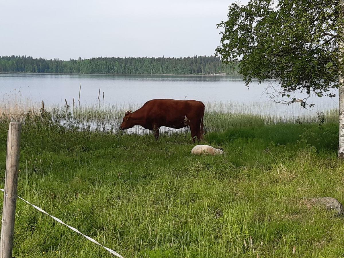 Vila Hyvoelaen Moekit Ähtäri Exteriér fotografie